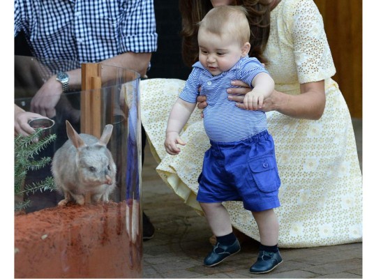 En imágenes, la vida del príncipe George