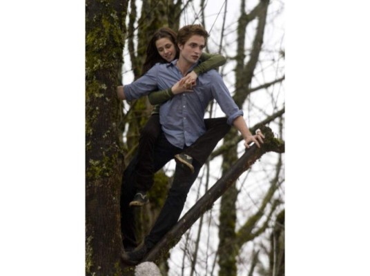 Durante el rodaje, Pattinson casi tuvo que ser hospitalizado, ya que tuvo que cargar a Kristen y casi se desgarra músculos de la rodilla.