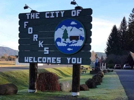 Originalmente la película se iba a llamar “Forks”, que es la ciudad donde está ambientada la historia.