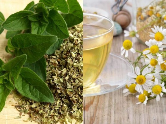 Utiliza orégano y manzanilla para hacer infusiones<br/>No es secreto que las hierbas poseen algo mágico para curar cualquier malestar. Estas dos antes mencionadas tienen grandes propiedades que reducen la inflamación, causando así la eliminación por completo de tu tortícolis.<br/>