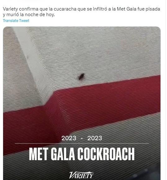 Mejores memes de la Met Gala 2023