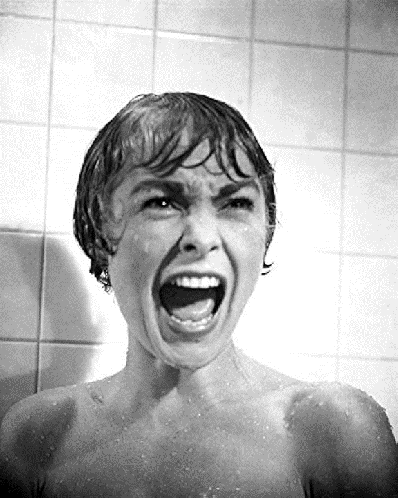 <b>10. Janet Leigh</b>Janet Leigh inmortalizó una icónica escena en la historia del cine de terror en “Psicosis” de Alfred Hitchcock, convirtiéndose en una imagen emblemática. Su actuación en la ducha ha dejado una huella imborrable en el género y es ampliamente reconocida como una de las más memorables de todos los tiempos.