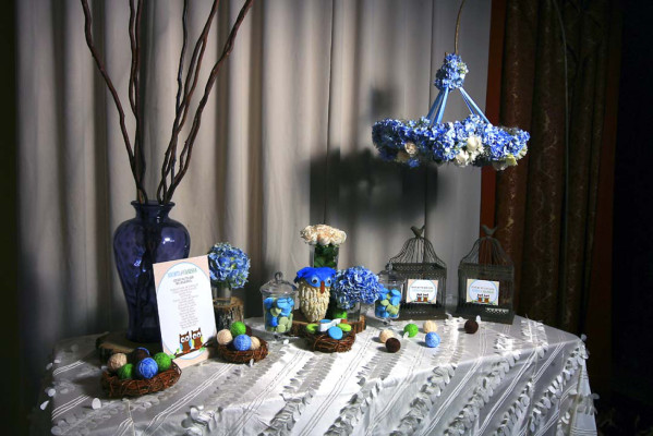 Baby shower para Vanessa Camarena y Xochitl Yuja