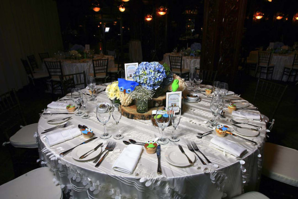Baby shower para Vanessa Camarena y Xochitl Yuja
