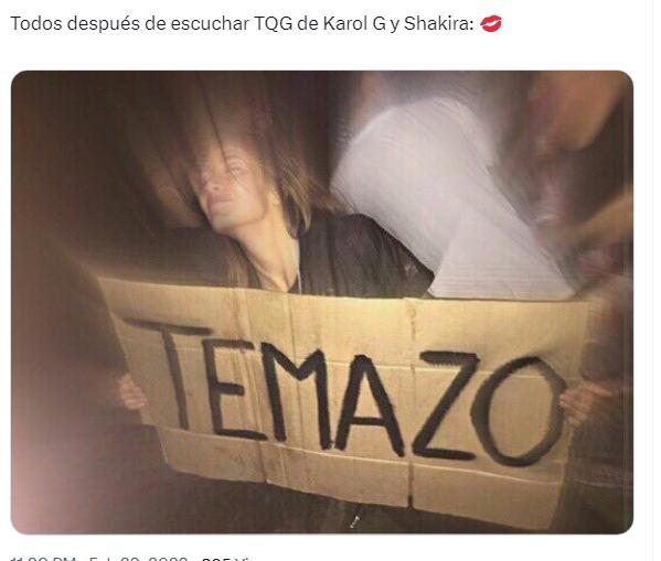 Los mejores memes de TQG de Shakira y Karol G