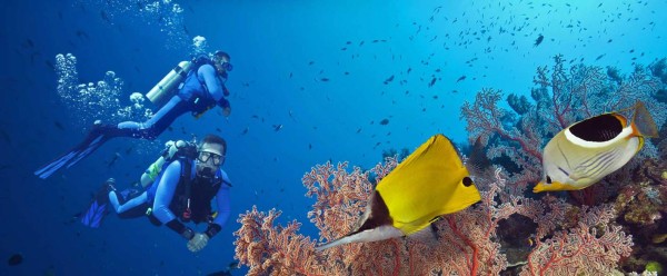 Roatán, entre las 10 islas más importante del mundo