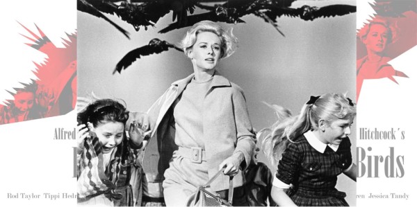 1. Los Pájaros (1963 - Alfred Hitchcock)<br/><br/>Imposible no incluir a Hitchcock en esta selección. 'Los Pájaros' es una de las películas más míticas en la categoría de terror, se basó en una novela corta homónima de 1952 basada a su vez en hechos reales. ¡No te la puedes perder, es mítica!<br/>
