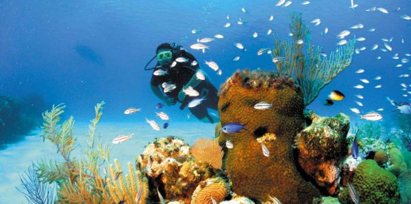 Roatán, Islas de la Bahía ( Foto: Arturo Sosa)