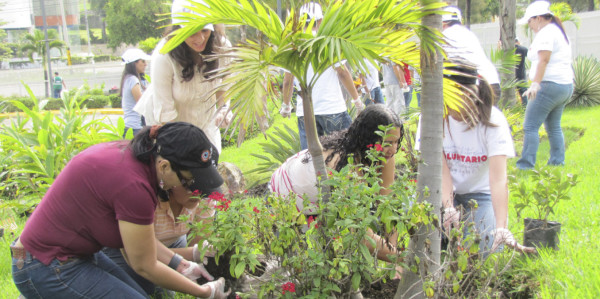HSBC realiza actividad medioambiental