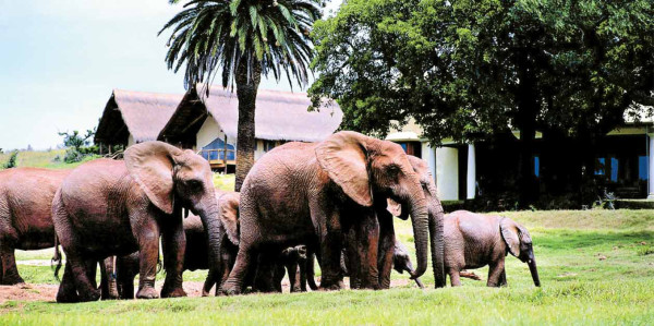 Sudáfrica, al natural