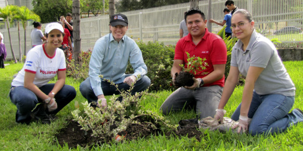 HSBC realiza actividad medioambiental