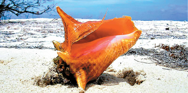 Días de aventura en la Ruta esmeralda