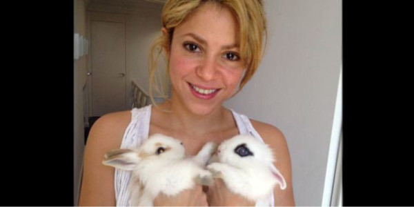 Embarazo de Shakira es de alto riesgo