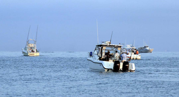 Bill Fish Open 2012 en Omoa