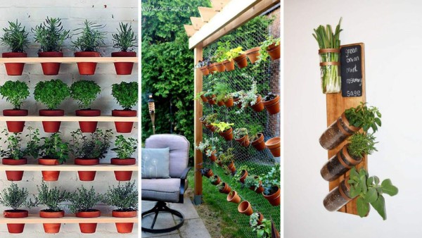 Un jardín vertical es un gran comienzo y funciona muy bien para espacios pequeños o grandes, además de que es una preciosa decoración.