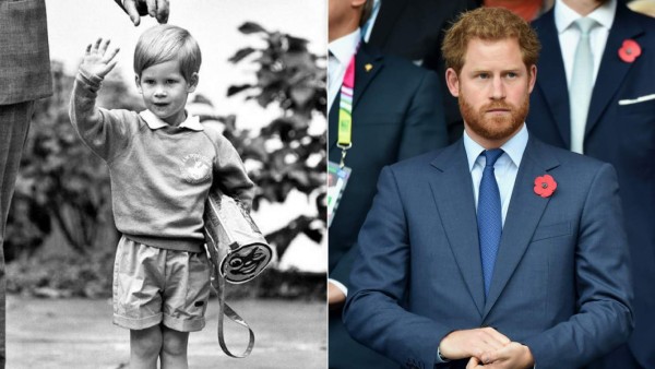 Principe Harry