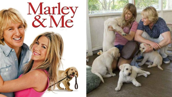 5. Marley & Me (2008)