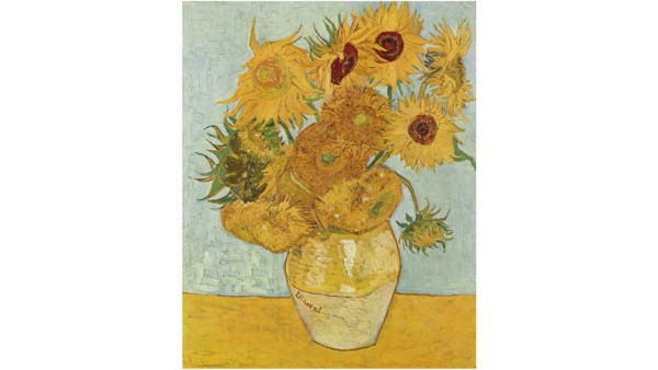 Los Girasoles, una serie de cuadros al oleo pintadas por Vincent Van Gogh. Esta serie representa las diferentes etapas de la vida de los girasoles, como la mayoría de las obras del autor fueron creadas mientras él sufría severas crisis psiquiátricas.