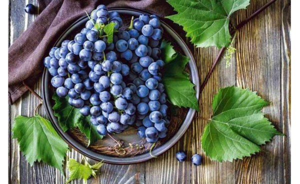 Las frutas que te ayudan a quemar grasa