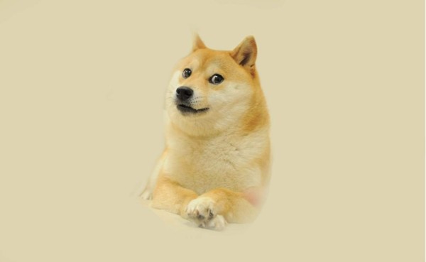 Doge-2013