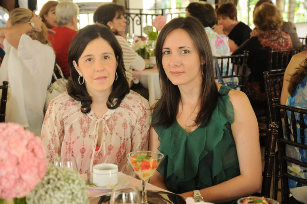 Entre rosas y mimosas