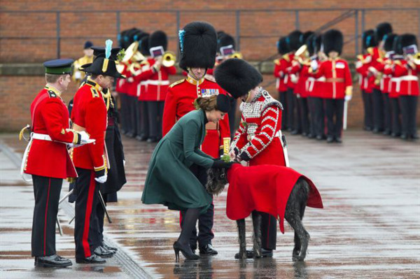 Kate sufre inconveniente en plena revisión de guardia