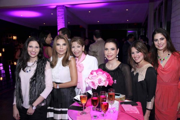 Rotundo éxito ESTILO Pink Party 2014