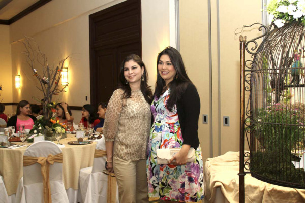 Shower para Joyce Andonie
