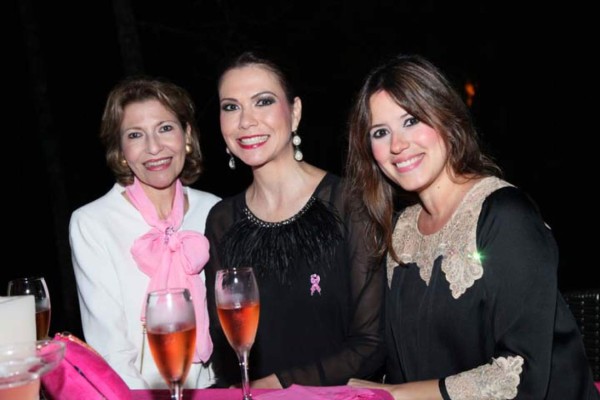 Rotundo éxito ESTILO Pink Party 2014