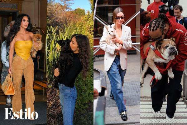 Desde Zendaya con Noon hasta Ariana Grande con Toulouse, es probable que reconozcas alguno de estos perritos por sus célebres dueños, ya sea por sus posts en Instagram o por fotos tomadas por los paparazzi. Así que, si eres amante de los perros, seguro que vas a disfrutar de ver cómo estas estrellas adoran a sus amigos peludos.