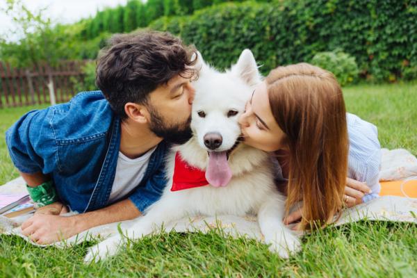 El amor y afecto son esenciales para el bienestar emocional de tu perro. Dedica tiempo de calidad para fortalecer el vínculo y proporcionarle el cariño que necesita.