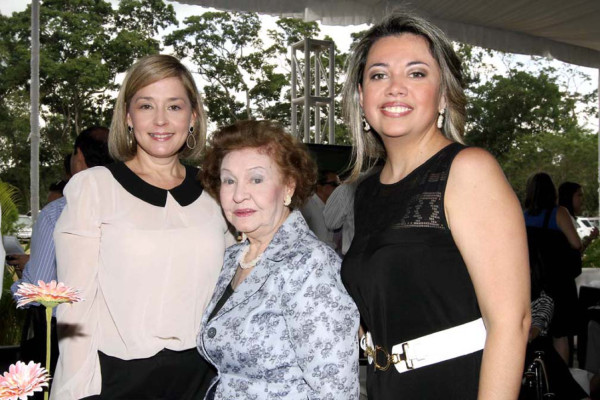 El comienzo de Altara