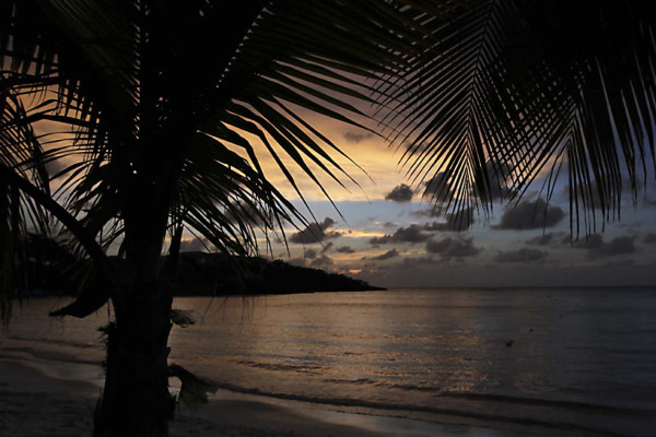 Torneo de pesca en Roatán