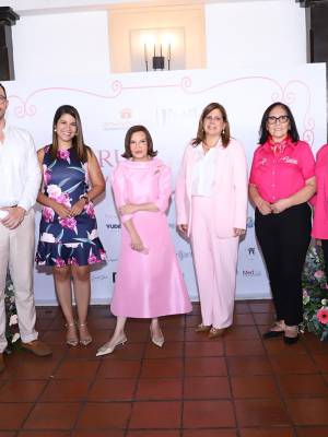 Estilo y Davivienda Seguros presentan Brunching in Rosé