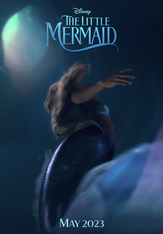 <b>La Sirenita - Fecha de estreno: 26 de mayo</b>El remake de La Sirenita se une a la larga lista de proyectos de Disney que intentan devolver la magia de los clásicos animados a películas de carne y hueso.