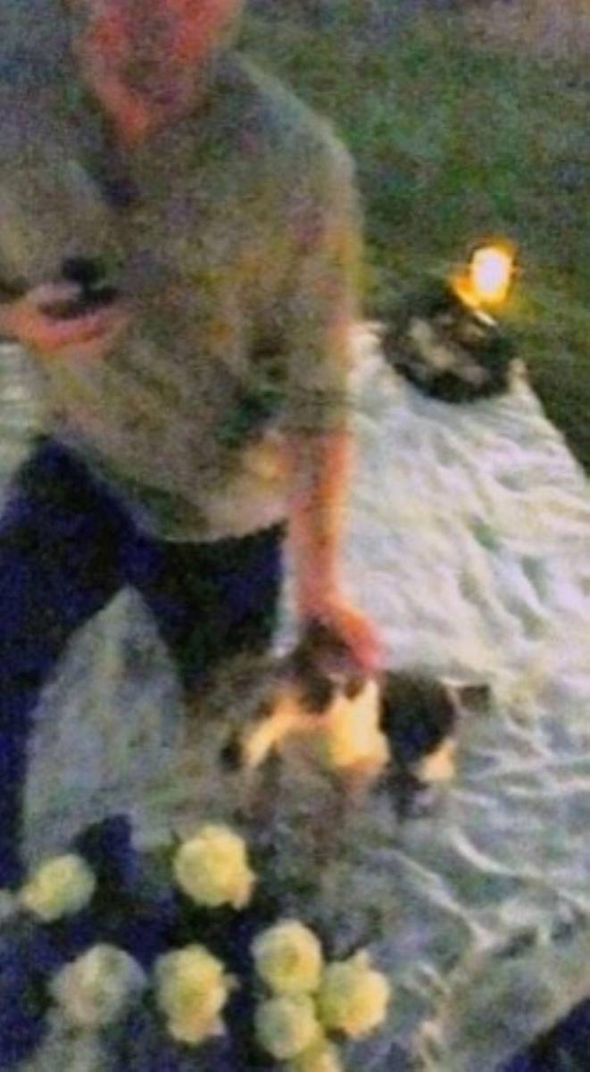 La propuesta de matrimonio fue un picnic planeado por Harry, donde colocó una sábana blanca en el patio y encendió muchas velas para que todo fuera romántico. 