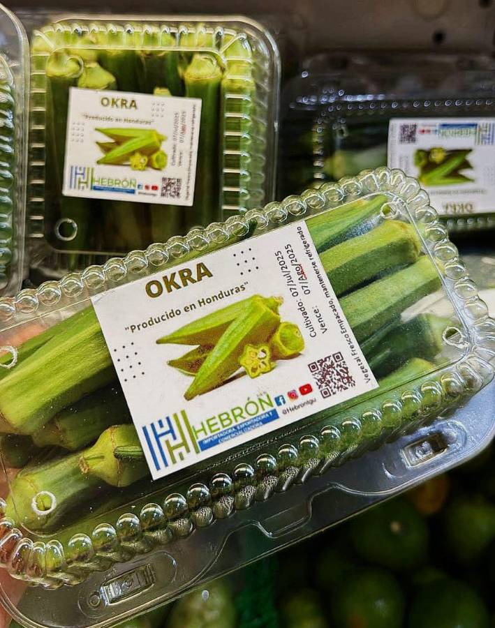 Hebron: impulsando la okra hondureña