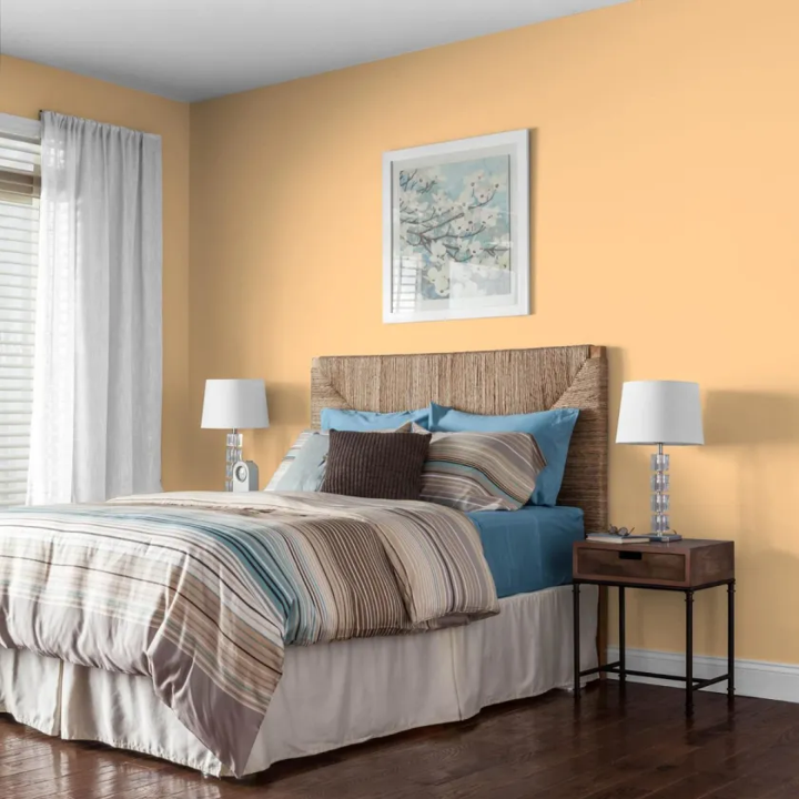 <b>Color Naranja Albaricoque</b>Un tono vibrante, rompe con la tendencia de tonos neutros. Aporta luminosidad y es tendencia en salones y zonas de estar, brindando una sensación cálida y acogedora. No abruma y se alinea con la demanda actual en decoración del hogar para el 2024. Considera este tono para renovar la cocina o un dormitorio en los próximos meses.