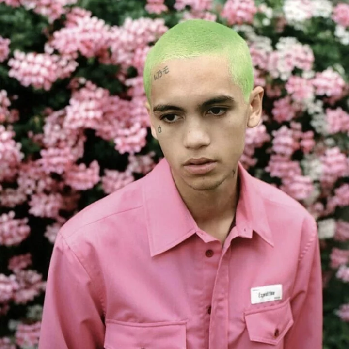 <i><b>09. Dominic Fike – Hey Blondie</b></i>