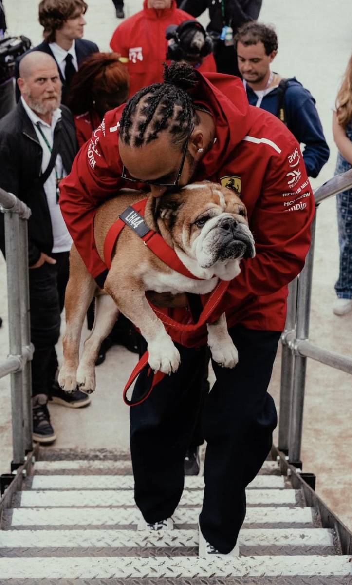 El piloto de Fórmula 1, Lewis Hamilton con bulldog inglés Roscoe. 