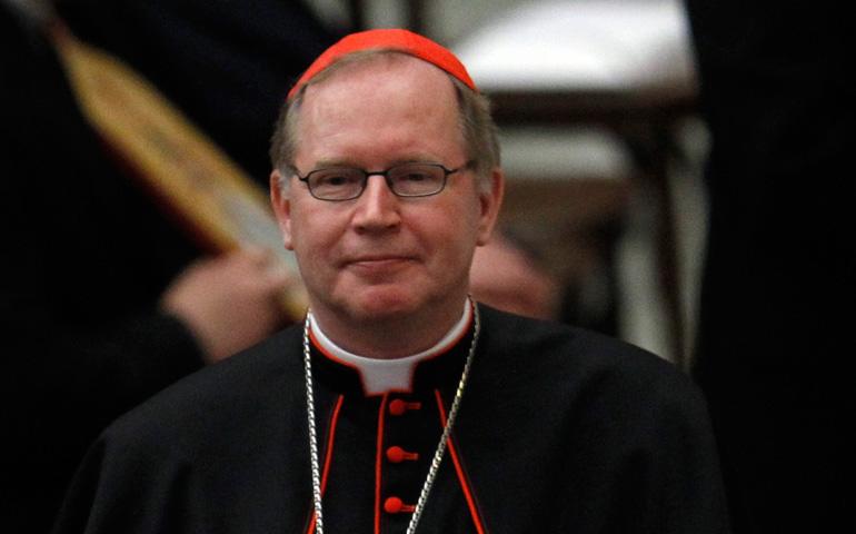 <b>Cardenal Willem Eijk</b>Arzobispo de Utrecht, Países Bajos, Eijk es conocido por su postura conservadora en temas doctrinales y sociales. A sus 71 años, su firmeza en la doctrina lo posiciona como un candidato para los sectores más tradicionales de la Iglesia.