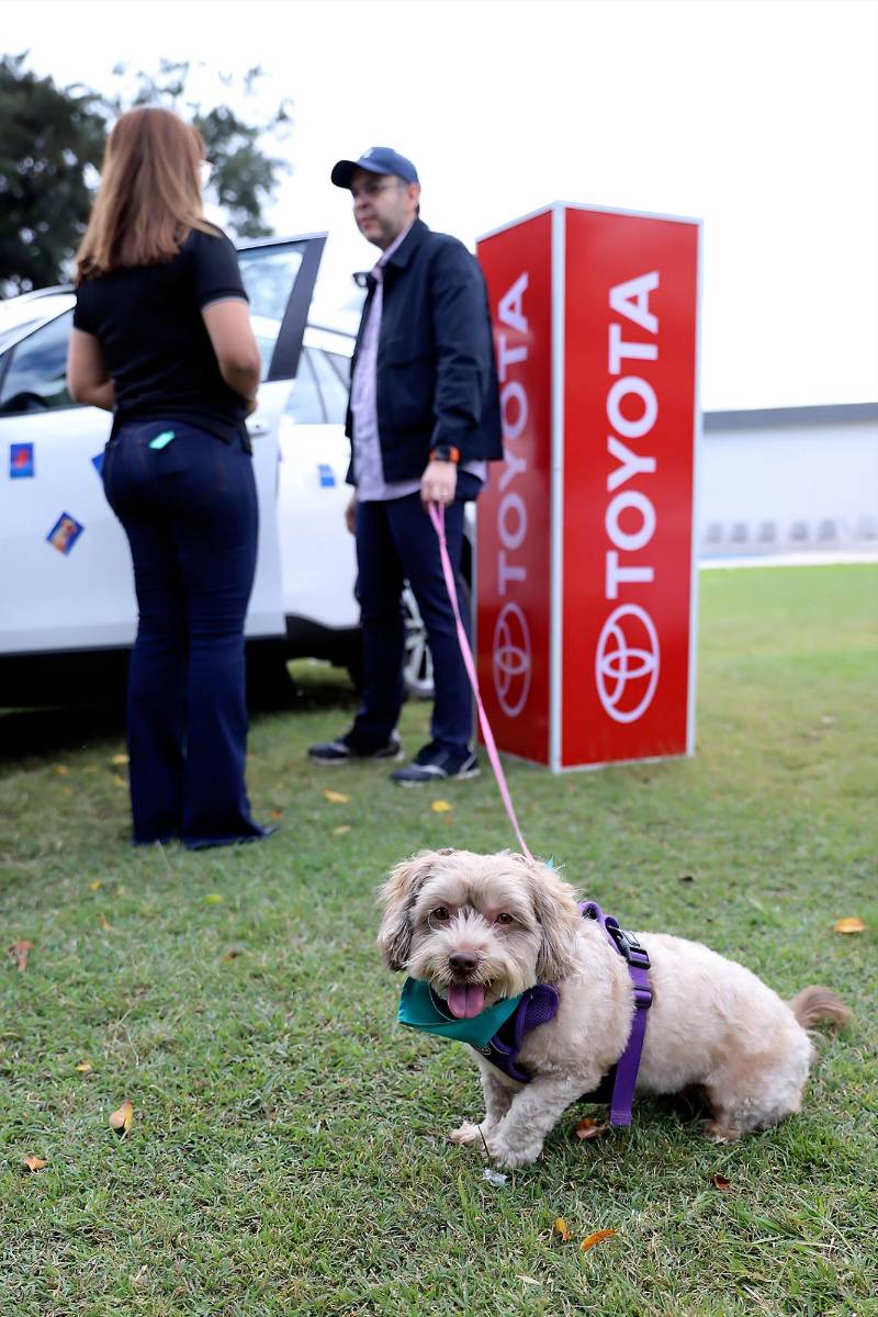 Un futuro en familia con Toyota