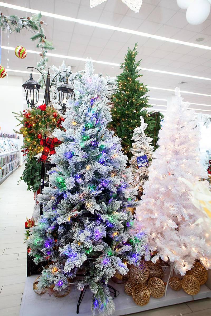 Árboles en colores para todos los gustos.
