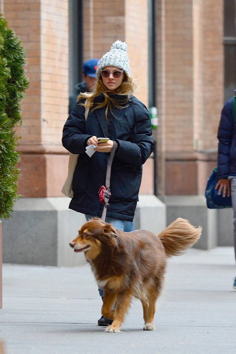 Amanda Seyfried y su pastor australiano Finn. 