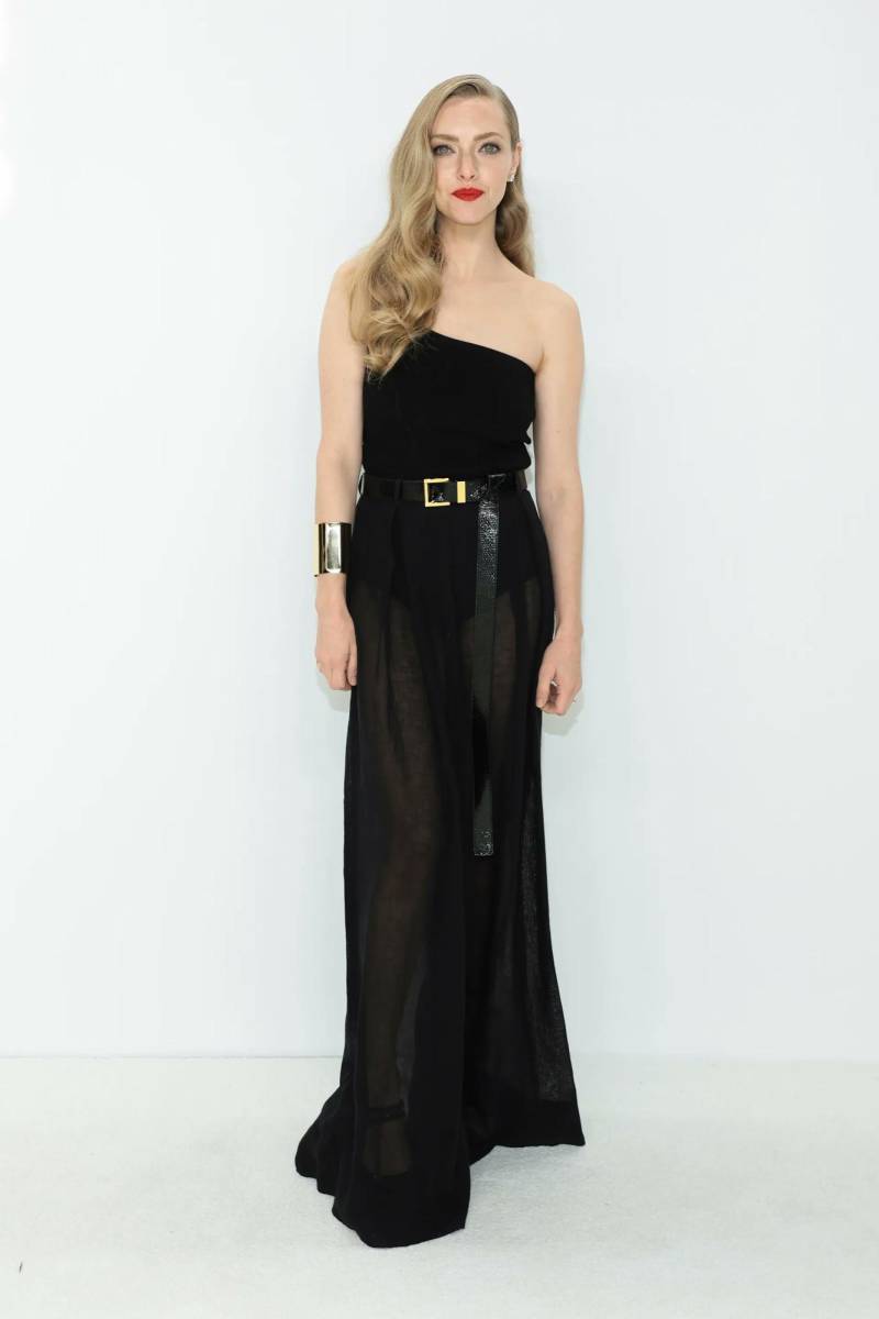 Amanda Seyfried en Michael Kors.
