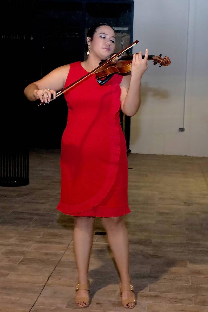 La música del violín alegró el ambiente.