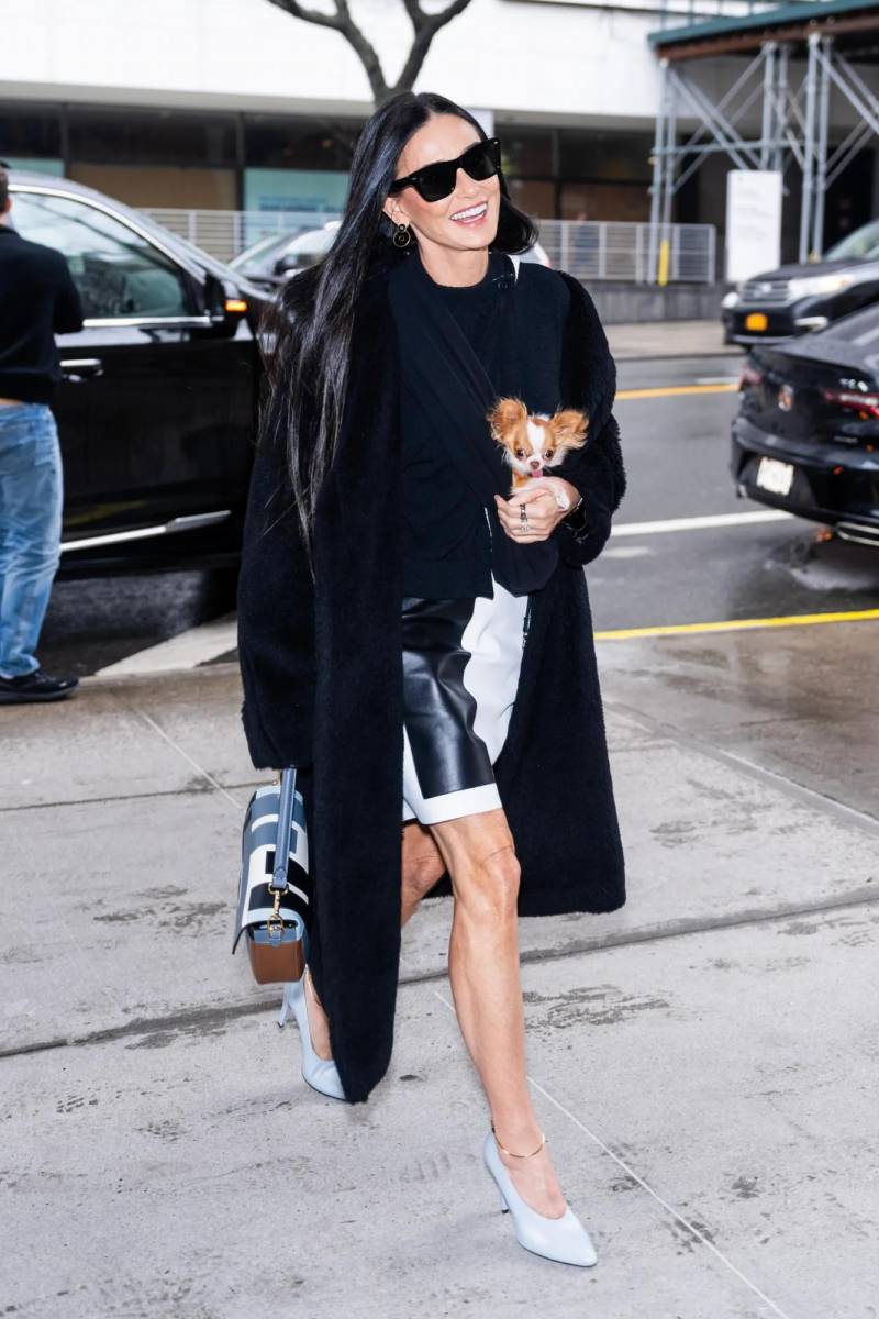 Demi Moore se hace acompañar a todas partes del pequeño Pilaf, de tres años de edad