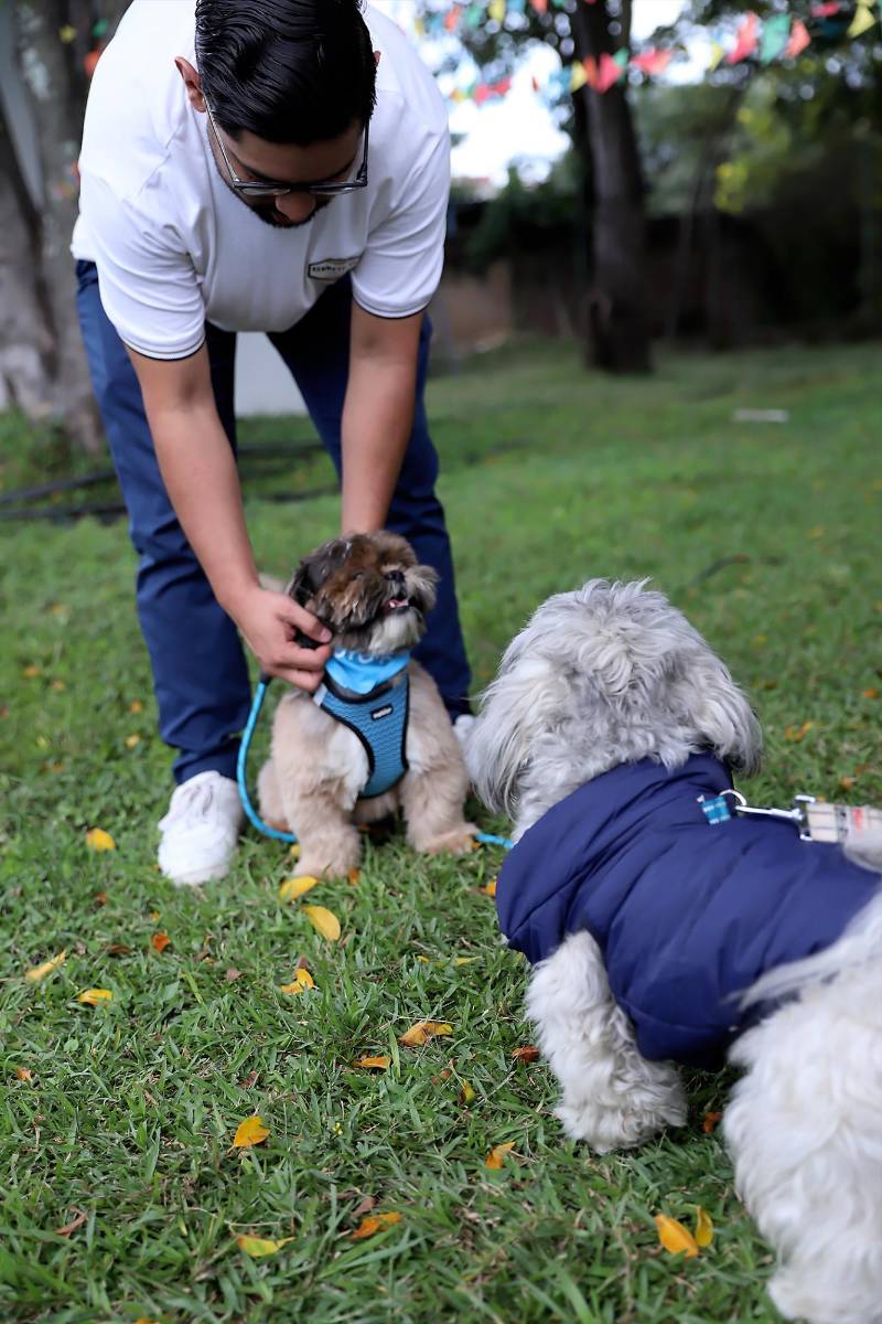 Un futuro en familia con Toyota