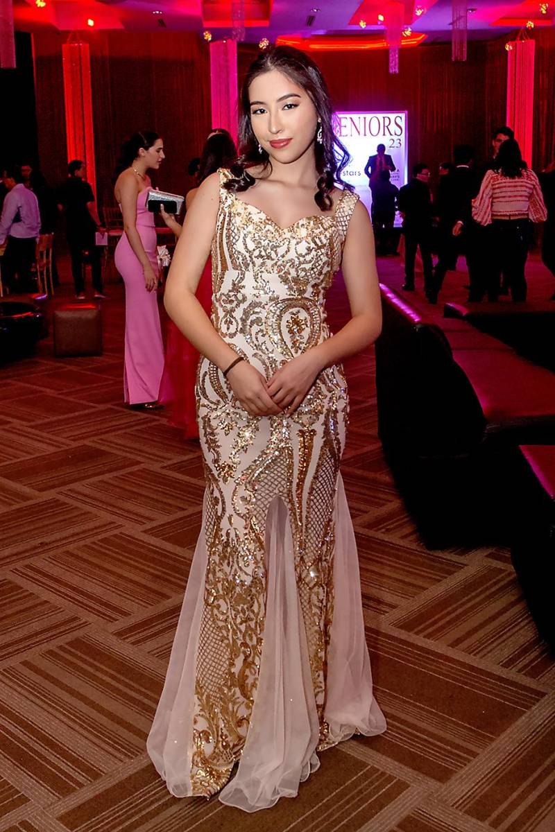 Yucheinn Fei 