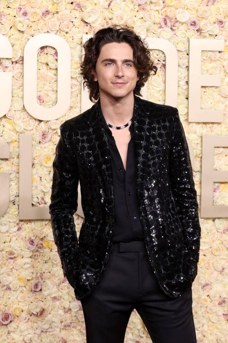 Timothée Chalamet 
